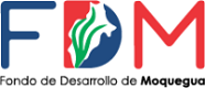 logo_fdm_ok